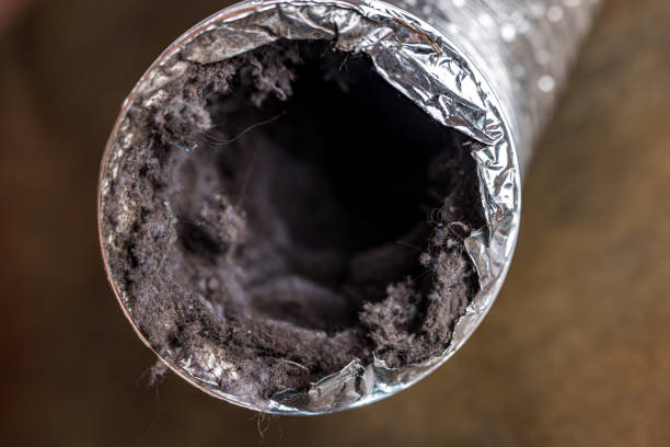 Best Emergency Air Duct Cleaning  in East Honolulu, HI